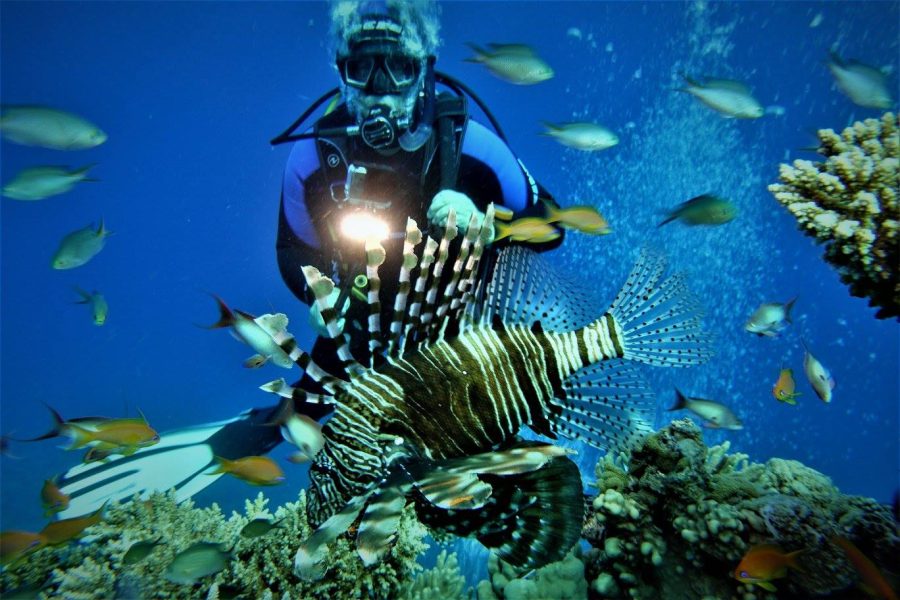 Advanced Open Water Diver